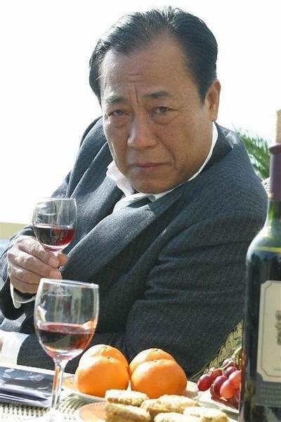 《潜伏在暗影中的谍影：真相与背叛的较量》